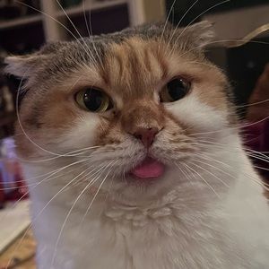 Meet your Posher, Evin